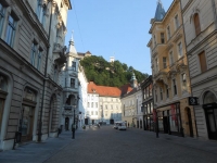 7254_t_17_ (51).JPG